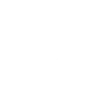 pzu